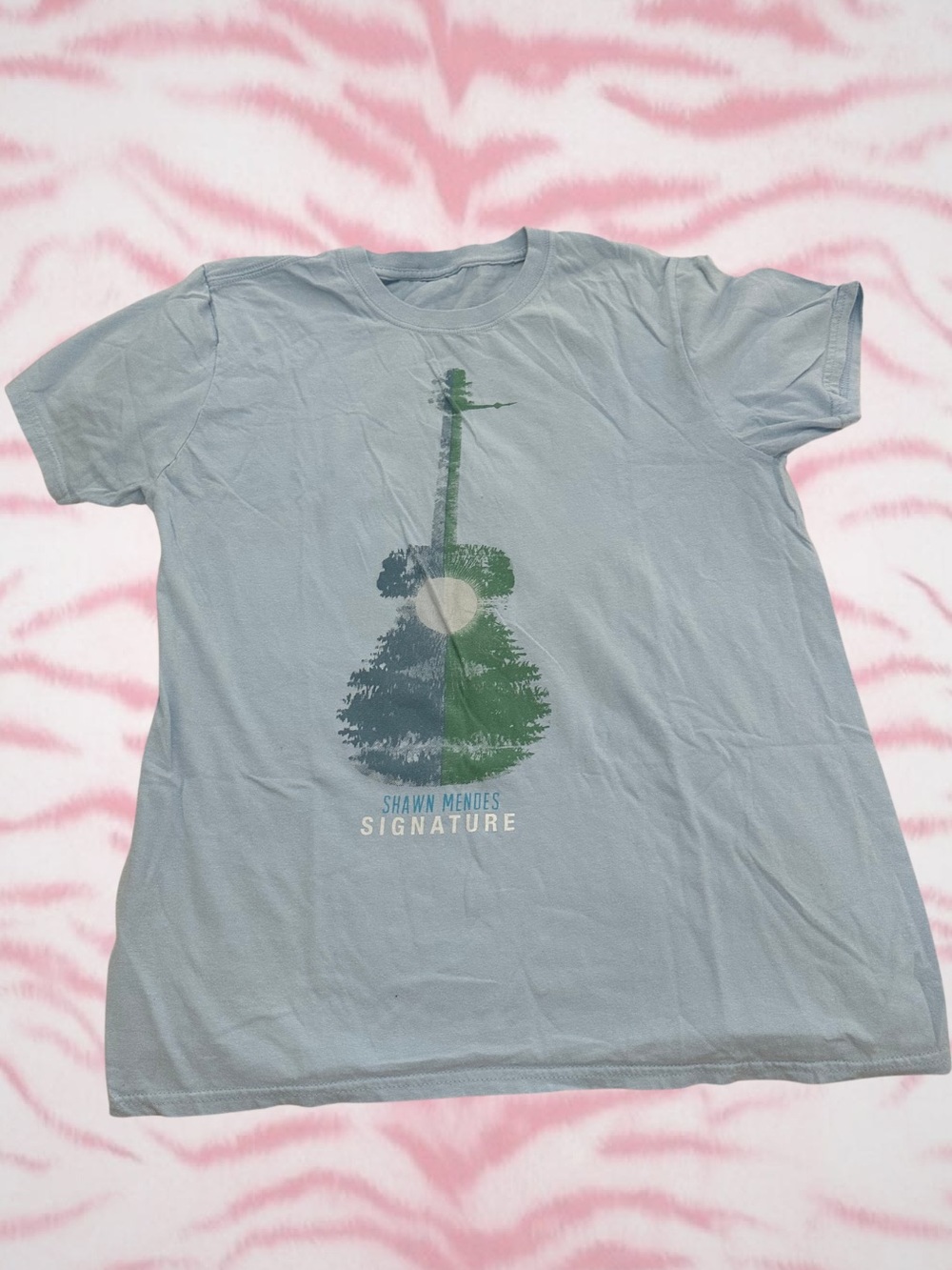 Signature Acoustic Graphic Art Print in Light Blue with Green Guitar Motif